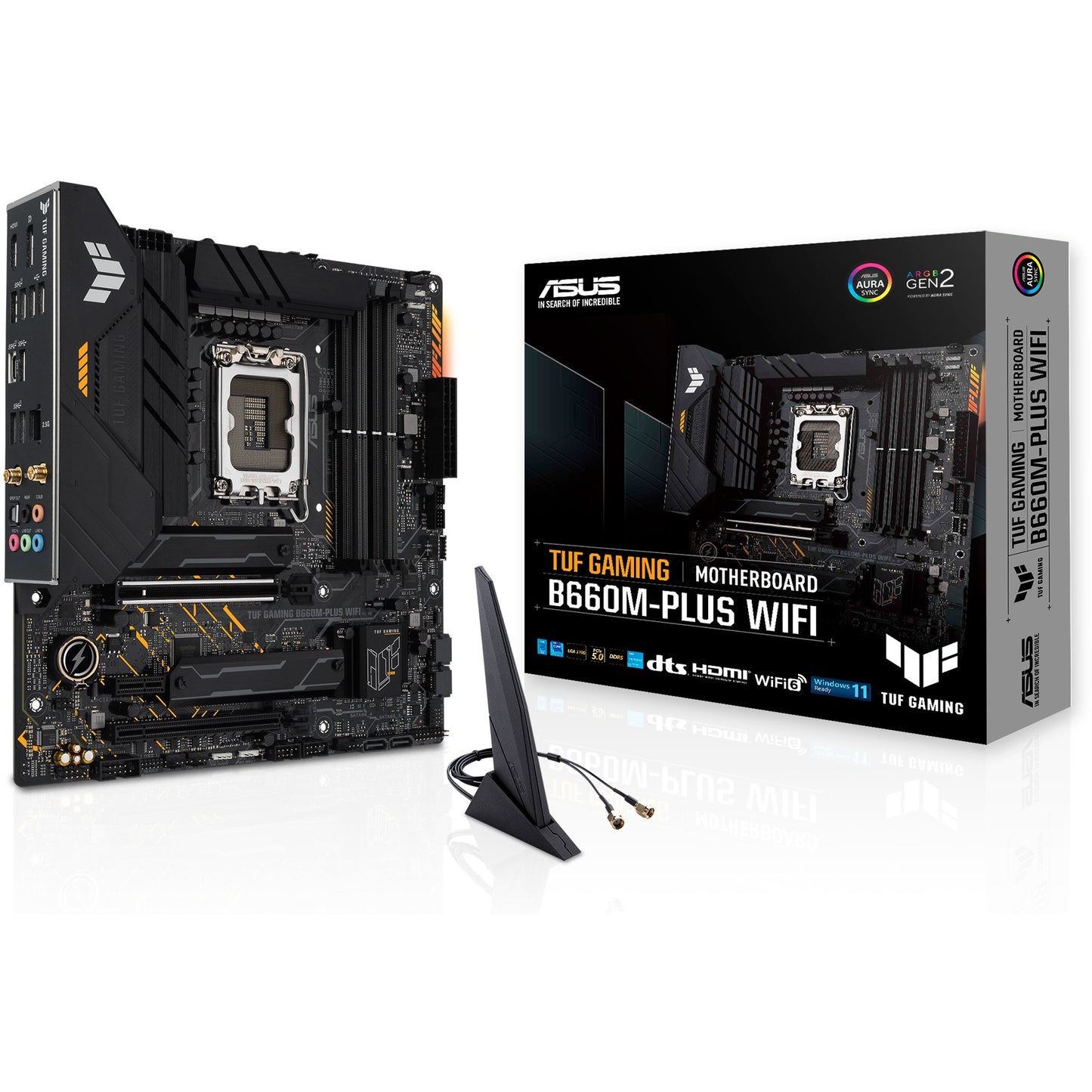 ASUS TUF GAMING B660M-PLUS WIFI. Intel. LGA 1700. Intel® Celeron®. Intel® Core™ i3. Intel® Core™ i5. Intel® Core™ i7. Intel® Core™ i9..... LGA 1700. DDR5 SDRAM. 128 GB