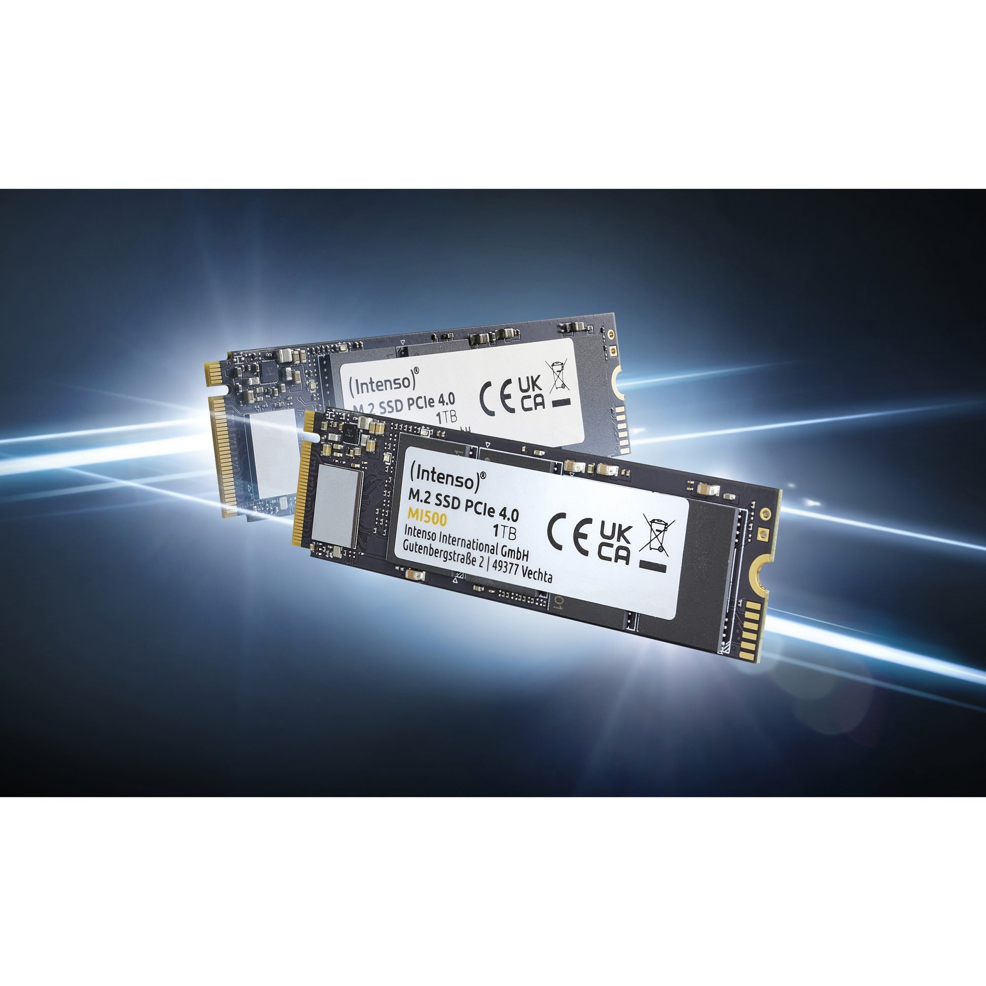 Intenso 3836460. 1TB. M.2. 5300MB/s