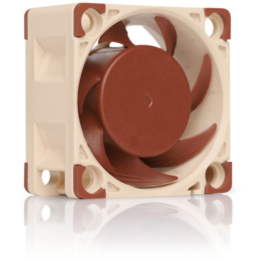 Noctua NF-A4x20 PWM. Ventilator. 4 cm. 1200 RPM. 5000 RPM. 9,4 m³/h. Bež. Smeđa.