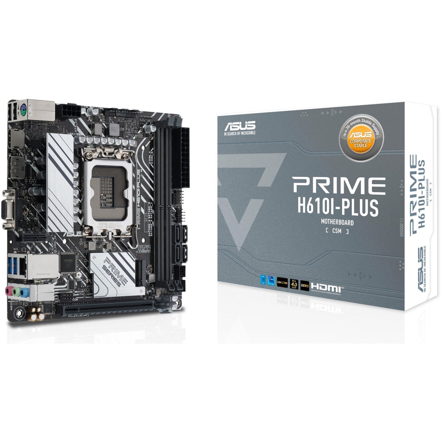 ASUS PRIME H610I-PLUS-CSM. Intel. LGA 1700. Intel® Celeron®. Intel® Core™ i3. Intel® Core™ i5. Intel® Core™ i7. Intel® Core™ i9..... DDR5 SDRAM. 96 GB. DIMM