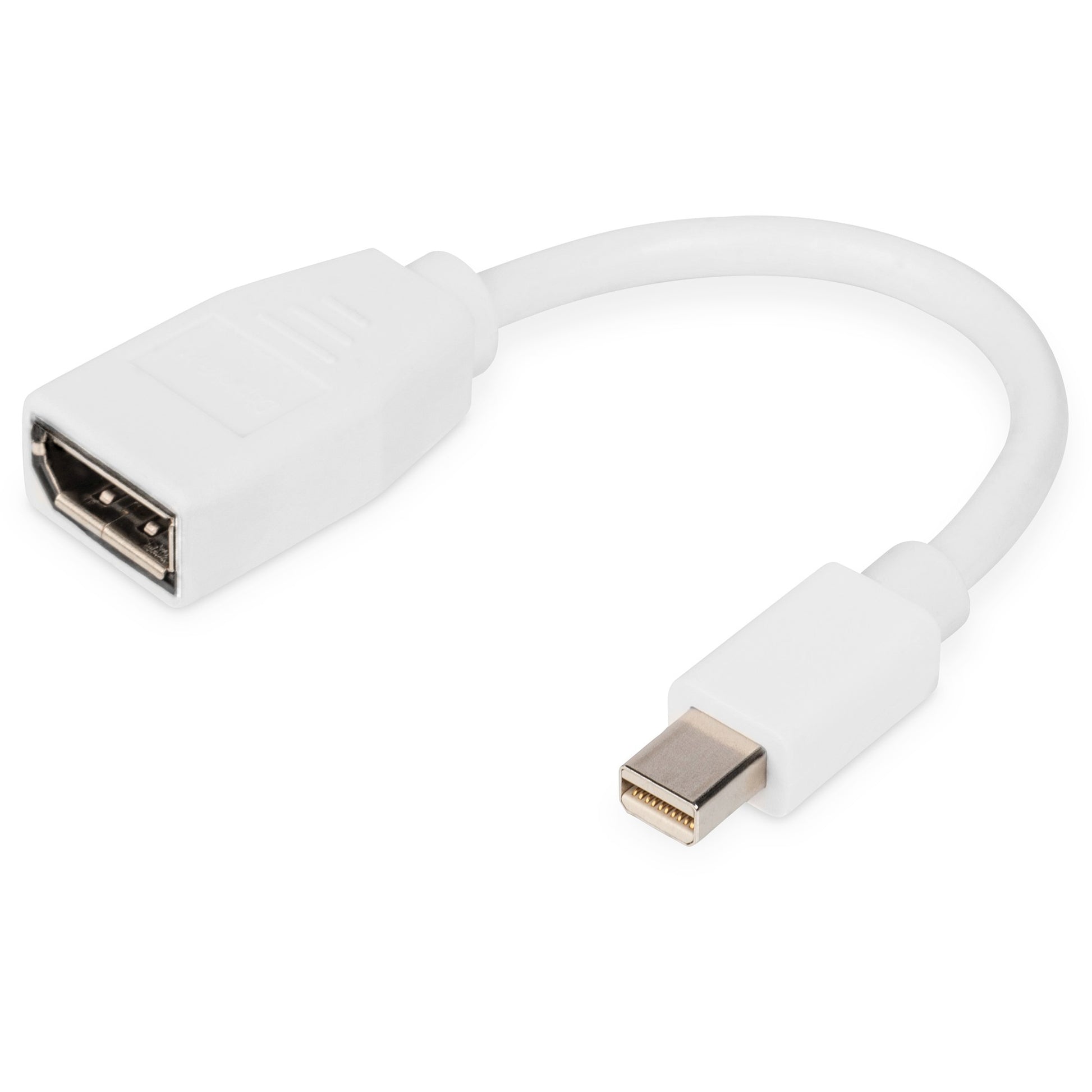 Digitus DisplayPort adapter kabel. Mini DP na DP. 0,15 m. Mini DisplayPort. DisplayPort. Muški. Ženski. Bijeli.