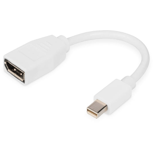 Digitus DisplayPort adapter kabel. Mini DP na DP. 0,15 m. Mini DisplayPort. DisplayPort. Muški. Ženski. Bijeli.